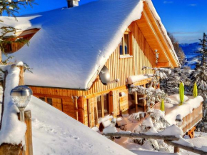 Luxury chalet near the Klippitztörl ski area